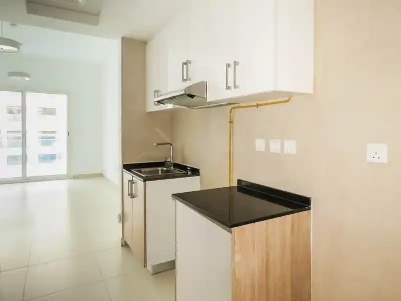 OBS 813 STD with BLN (9)