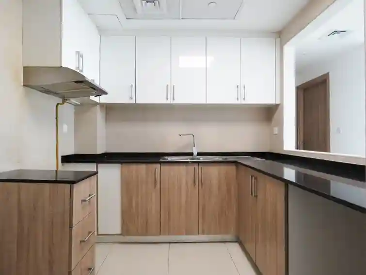 OBS APT1003 3 BHK with BLN (20)